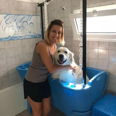 بيت للعطل Adriacamp Mobile Homes Rosepineta روزابينيتا