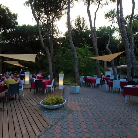 Adriacamp Mobile Homes Rosepineta Holiday home Rosapineta